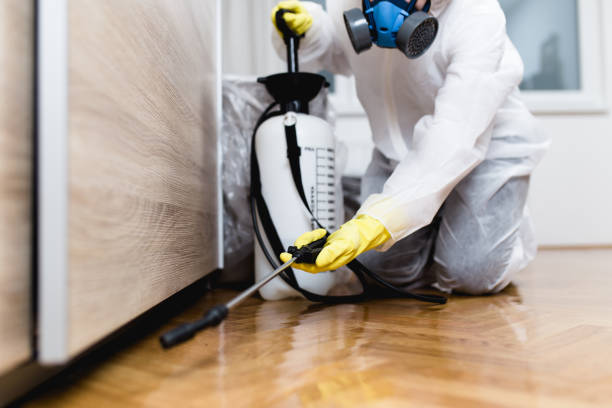 Best Commercial Pest Control Services  in Morrisville, NC
