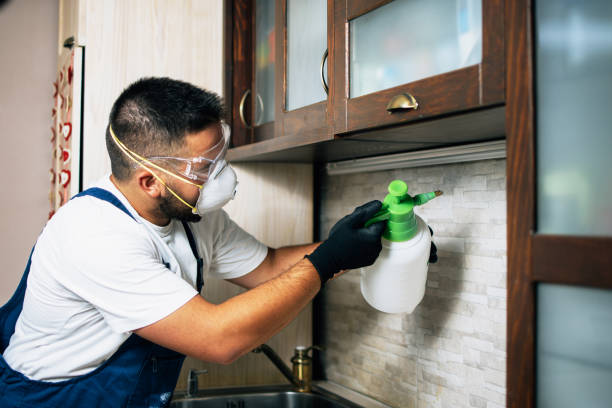Best Best Pest Control Companies  in Morrisville, NC