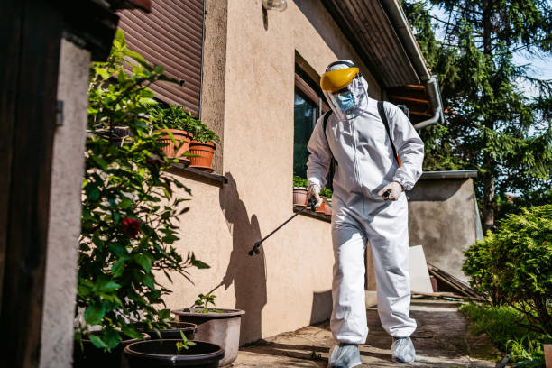 Best Pest Control Treatment  in Morrisville, NC