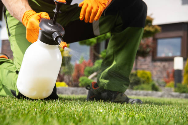 Insect Control in Morrisville, NC