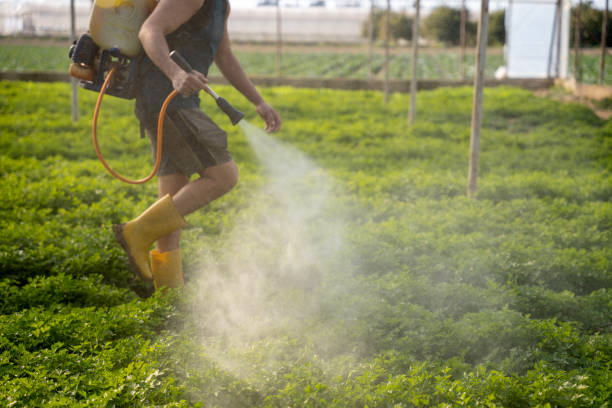 Best Pest Prevention Services  in Morrisville, NC