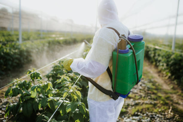  Morrisville, NC Pest Control Pros